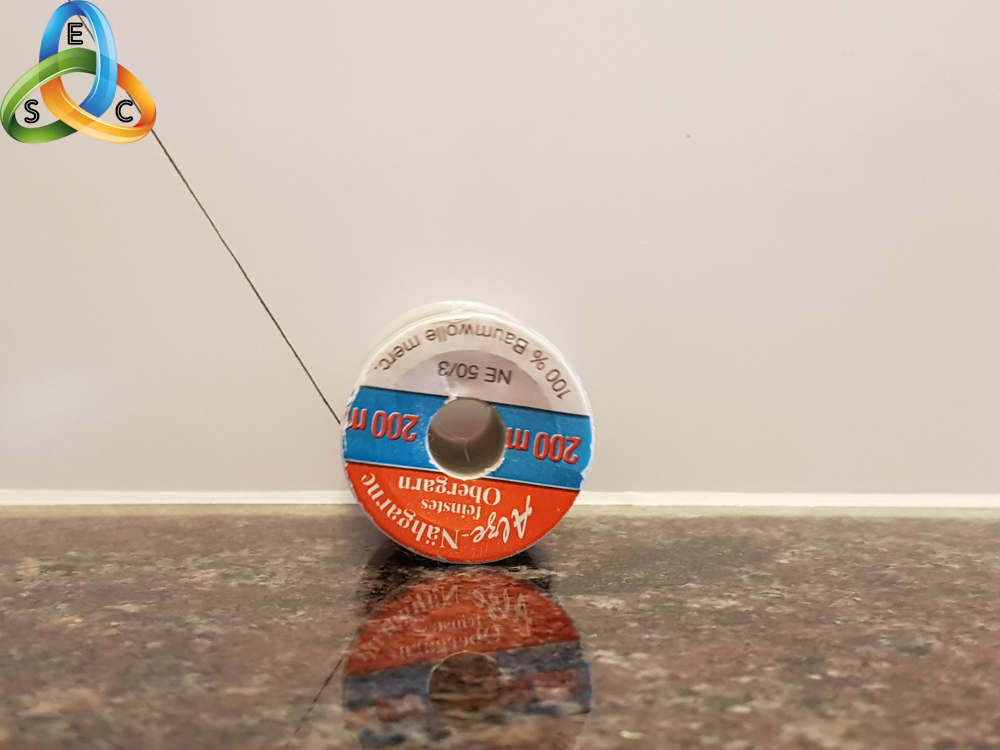 European Science Club